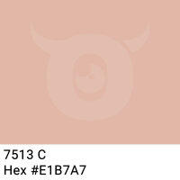 PVC packing tape peach brown - 50mm x 66m - CMYK 0/19/26/12