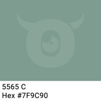 PP packing tape dark gray green - 48mm x 66m - CMYK 29/0/8/38